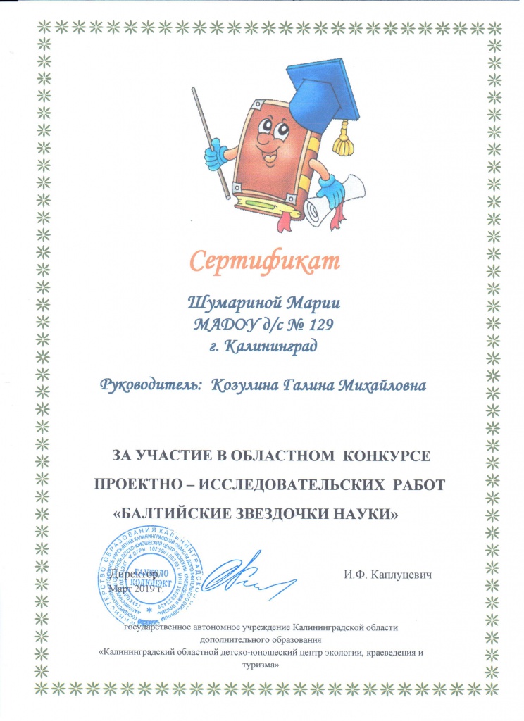 Сертификат Балтийские звездочки.jpg